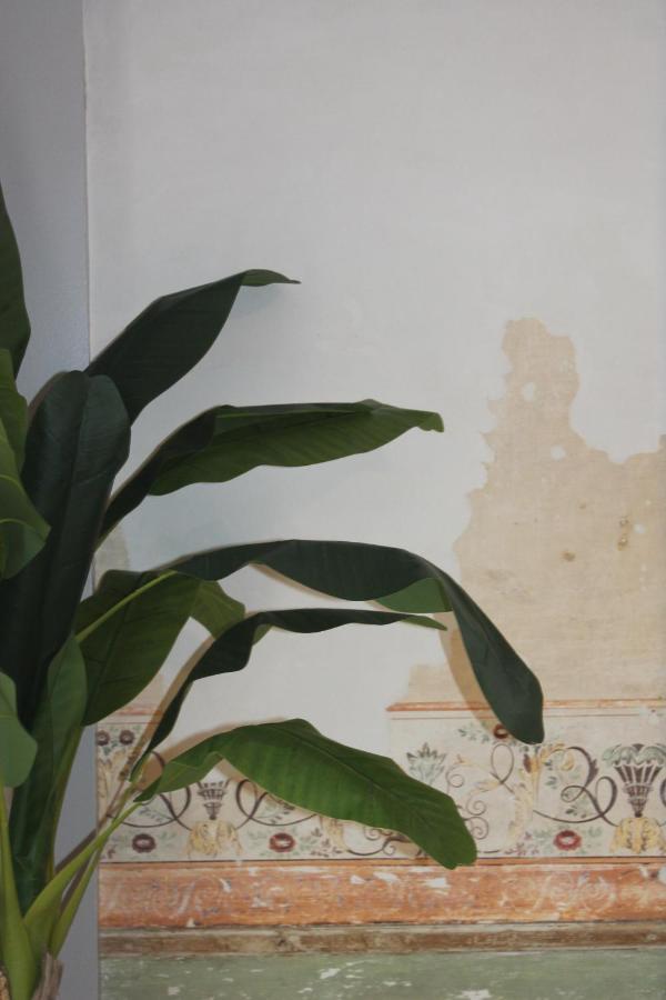 Casa Das Quatro Cabecas Setubal Bagian luar foto